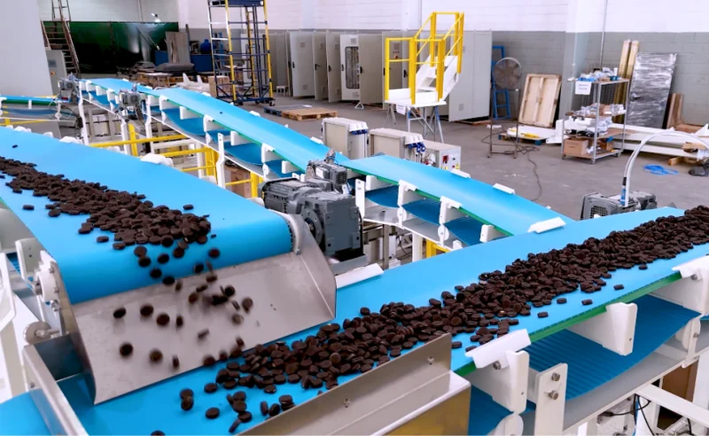 Transportadores para Candies & Snacks