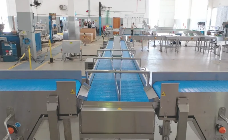 Transportadores para Carnes & Aves