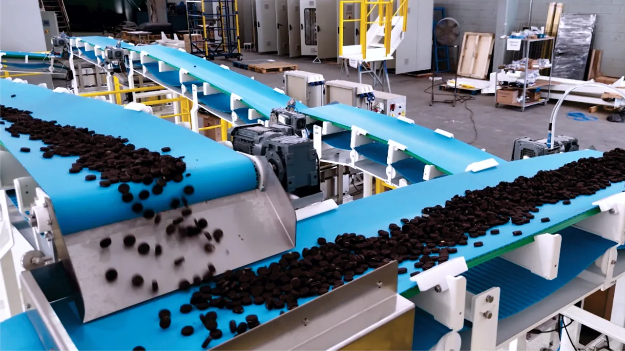 Transportadores para Segmentos Diversos